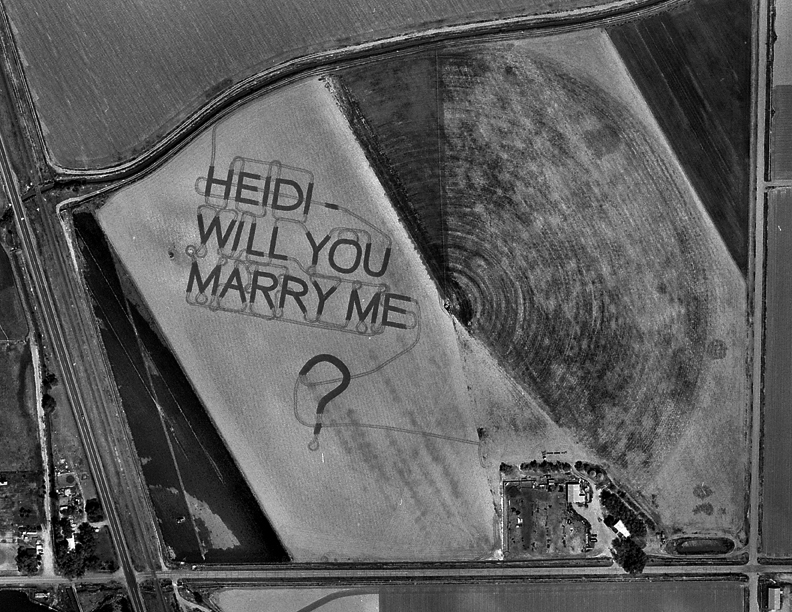 Marriage Proposal in field